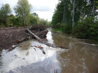 Restoring an Estuary